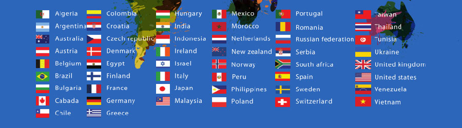 保定小语种网站建设  第1张