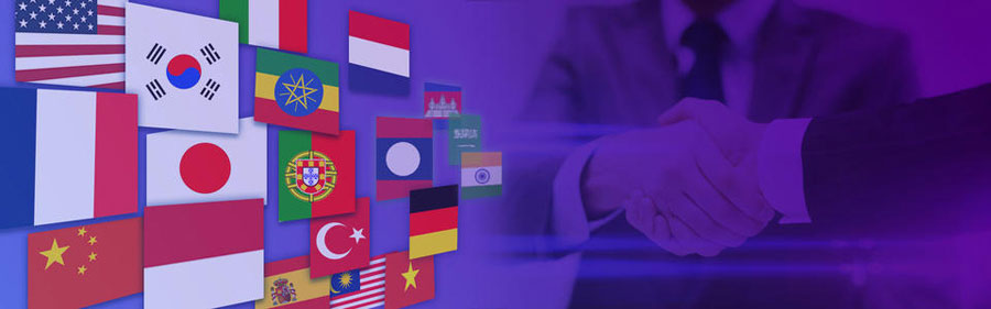 保定小语种网站建设  第2张